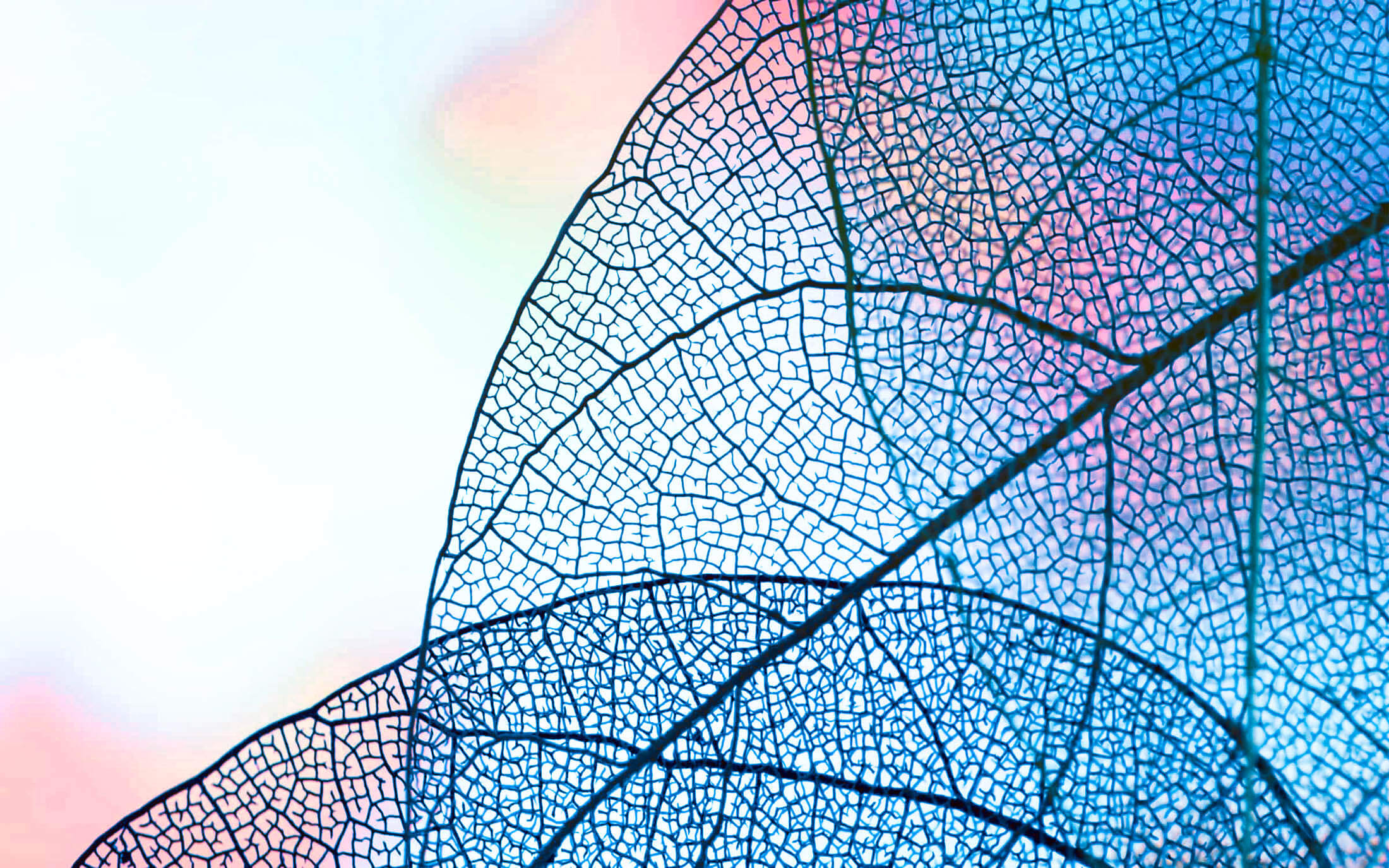 Akademie Zunft Blogbeitrag Kognitive Selbstfürsorge