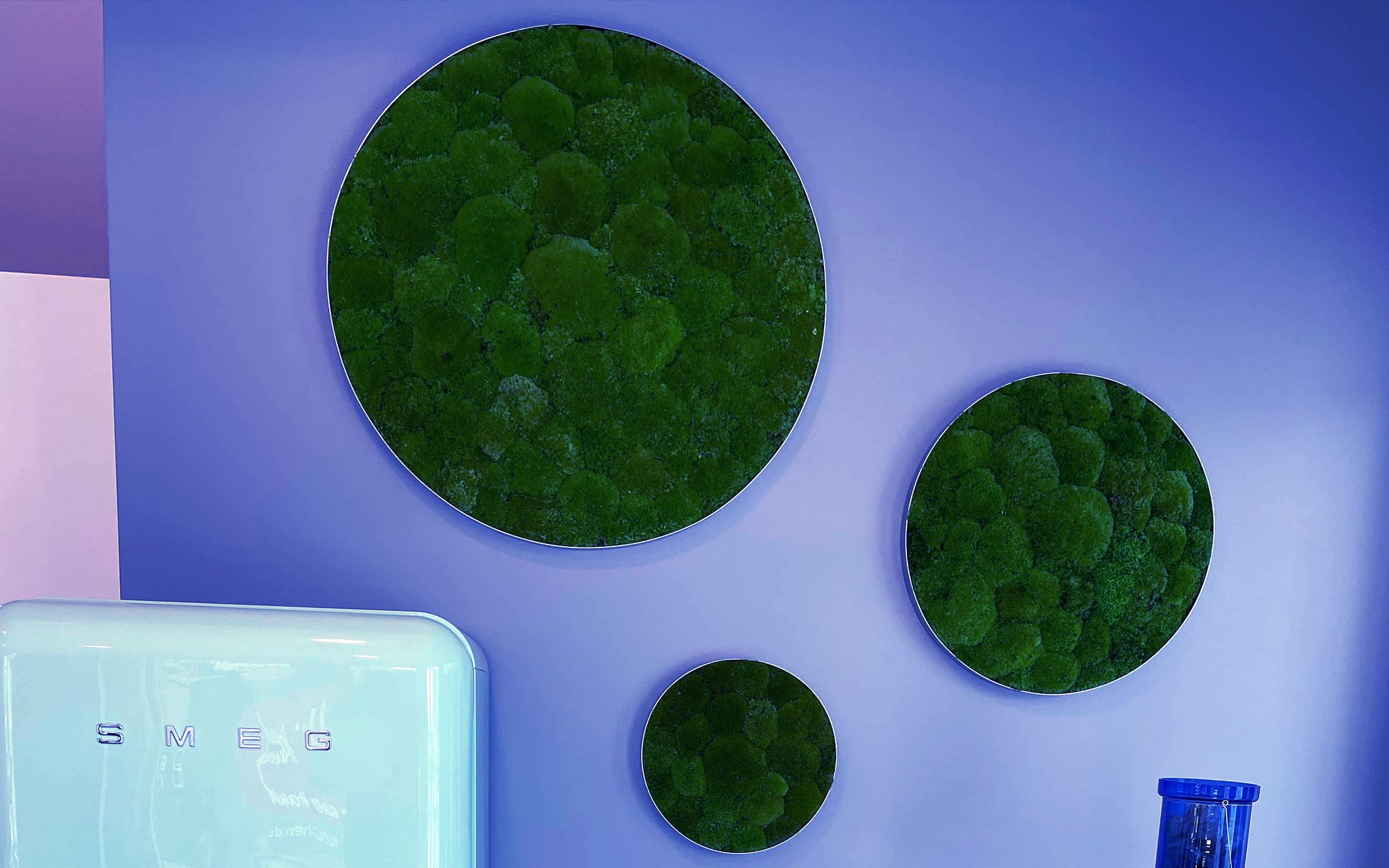 Akademie Zunft Blogbeitrag Moosbilder